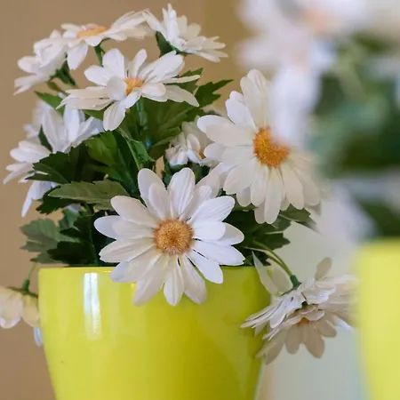 Appartement Mazis B *